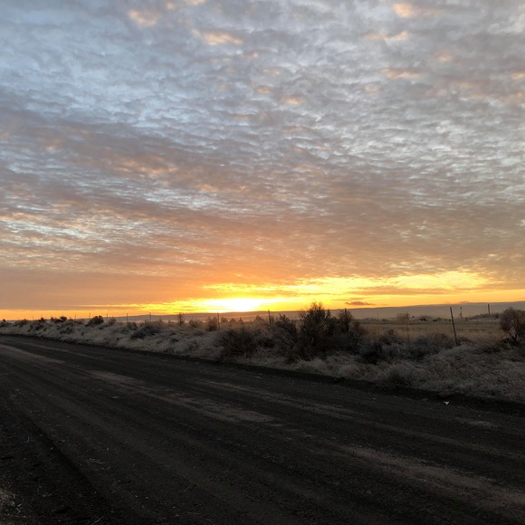 Meet your Posher, Thomas - Picture 1 of 1